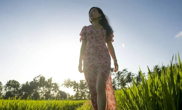 Felicidad tropical al atardecer. Joven mujer coreana asiática hermosa y atractiva en vestido elegante caminando en el campo de arroz verde disfrutando de exóticas vacaciones de verano viaje en la naturaleza — Foto de Stock