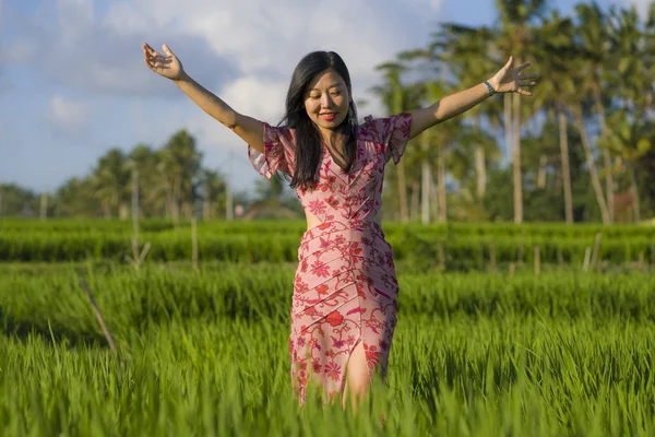 Egzotik Yaz tatilleri zevk yeşil pirinç alanında yürüyüş zarif elbise genç güzel ve çekici Asyalı Koreli kadının doğal ve taze yaşam tarzı portre — Stok fotoğraf