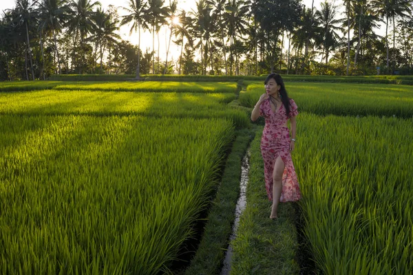 Přirozený životní styl portrét mladé krásné a šťastné asijské ženy v elegantním letním oblečení, které chodí bezstarostně a poklidně v čerstvé tropické rýžové oblasti užívající — Stock fotografie