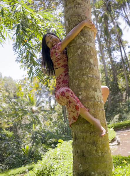 Estilo de vida de verano retrato de joven hermosa y juguetona mujer coreana asiática trepando y abrazando tronco de árbol y madera tropical disfrutando feliz la belleza de la naturaleza — Foto de Stock