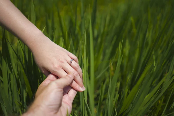 Lamaran pernikahan romantis. tangan dekat dari pasangan dalam cinta memegang erat bersama-sama, wanita dengan cincin pertunangan di jarinya terisolasi di latar belakang lapangan hijau — Stok Foto