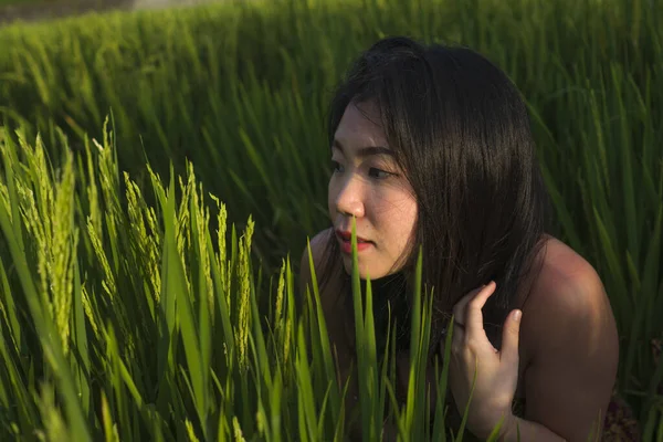 Mladá šťastná a krásná asijská žena těší přírodu na rýžovém poli. sladká korejská dívka objevování krajiny během dovolené cestování v pouti a cestovního ruchu koncept — Stock fotografie