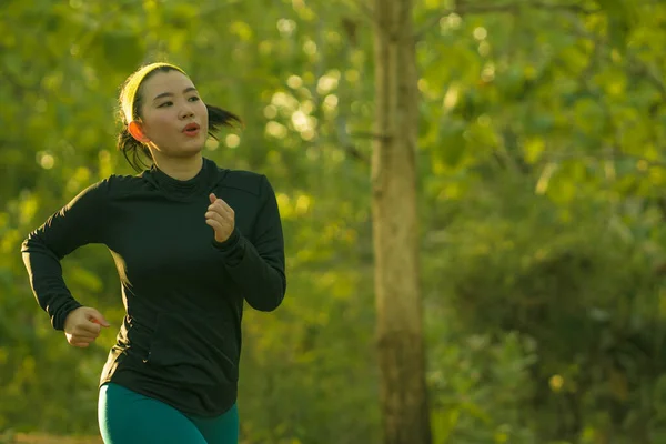 젊고 행복 한 아시아인 여성 이 석양에 나무를 타고 달립니다. 활달 한 생활을 하는 나무들이 있는 아름다운 시골 길에서 조깅하고 있는 매력적 이고 건강 한 한국 소녀 — 스톡 사진