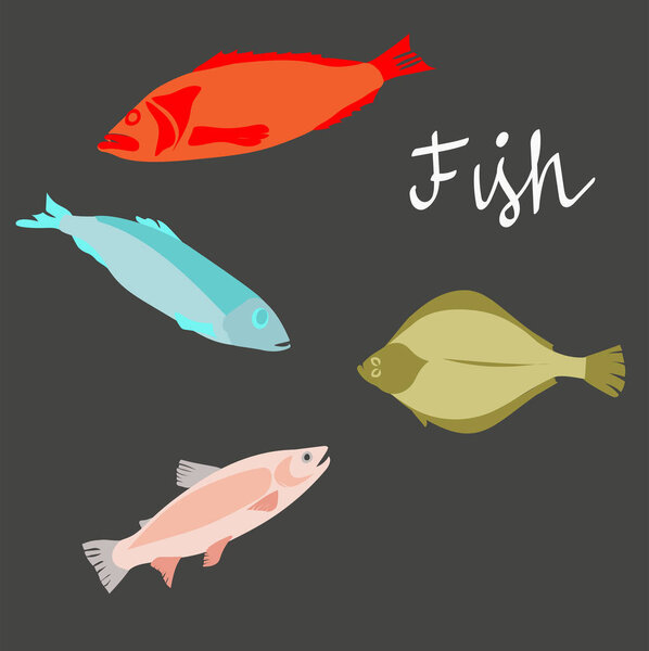 set of vector illustrations of sea fish: colorful hand-drawn flounder, herring, trout, and perch on dark background. Flat design.