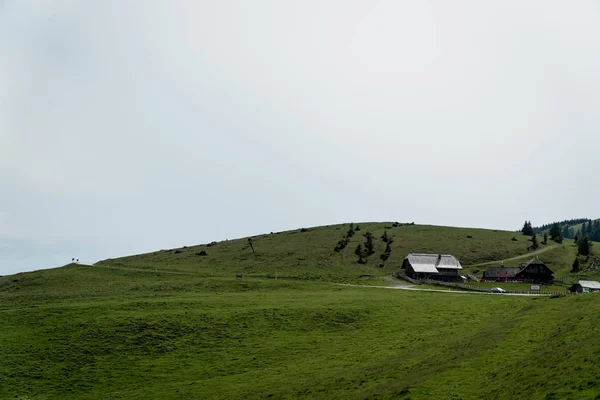 Route Campagne Courbe Montagne Fond Avec Herbe Verte Tout Autour — Photo