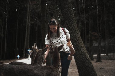 Macaristan genç ve yetişkin geyik bir sürü genç backpacker avare kız beslemeleri