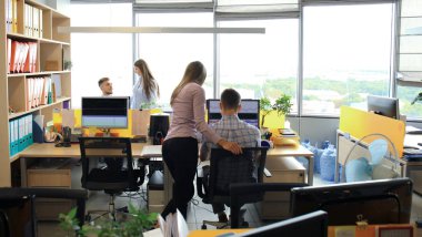 Ekibi ofisinde çalışıyor. Monitör yazmaya ve yeni proje tartışıyor