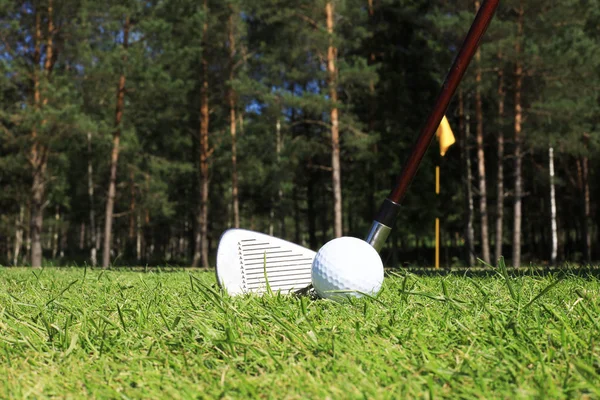 Boule de golf et broche sont prêts à jouer, placés dans une pelouse verte avec un fond naturel . — Photo