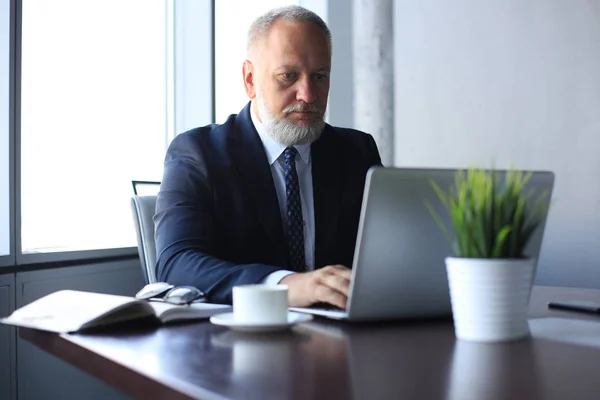 사무 국장 이현대 사무실에서 노트북 컴퓨터로 일하고 있는 모습. — 스톡 사진
