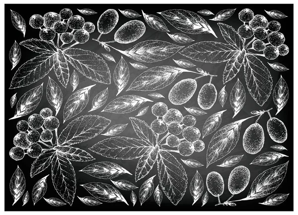 Tropical Fruits, Illustration Wallpaper Background of Hand Drawn Sketch Fresh Cornelian Cherries or Cornus Mas Fruits Hanging on Tree Branch on Black Chalkboard.