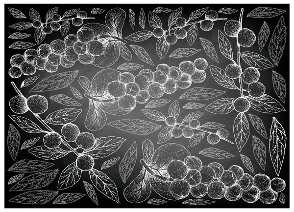 Tropische Früchte Illustration Hintergrund Der Handgezeichneten Skizze Frische Seegerbe Lorbeer — Stockfoto
