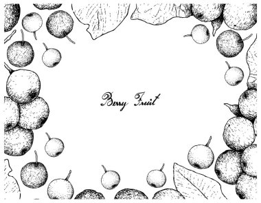 Berry meyve, Arrowwood meyveleri veya Globose çilek ve siyah kiraz veya beyaz arka plan üzerinde izole Prunus Serotina meyve elle çizilmiş kroki çizim çerçeve.