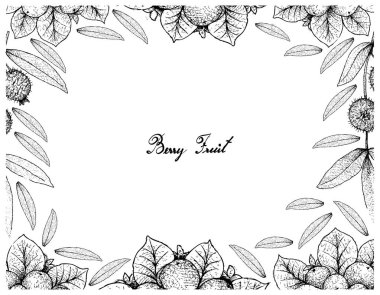 Berry meyve, Coralberries veya Symphoricarpos Orbiculatus veya Cabeludinha veya Myrciaria Glazioviana Fruitsisolated beyaz arka plan üzerinde elle çizilmiş kroki çizim çerçeve. 