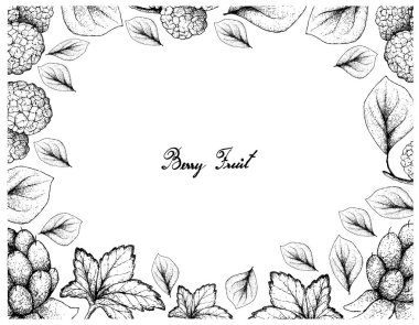 Berry meyve, elle çizilmiş kroki lezzetli taze Cloudberry veya Rubus Chamaemorus ve Çin dut veya Morus Australis Fruitsisolated beyaz arka plan üzerinde resimde çerçeve.