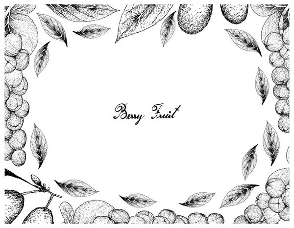 Fruits Tropicaux Cadre Illustration Croquis Dessiné Main Seagrape Frais Bayraise — Image vectorielle