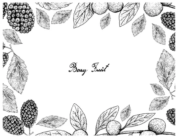 Fruits Tropicaux Illustration Cadre Dessin Main Croquis Mûres Noires Douces — Image vectorielle