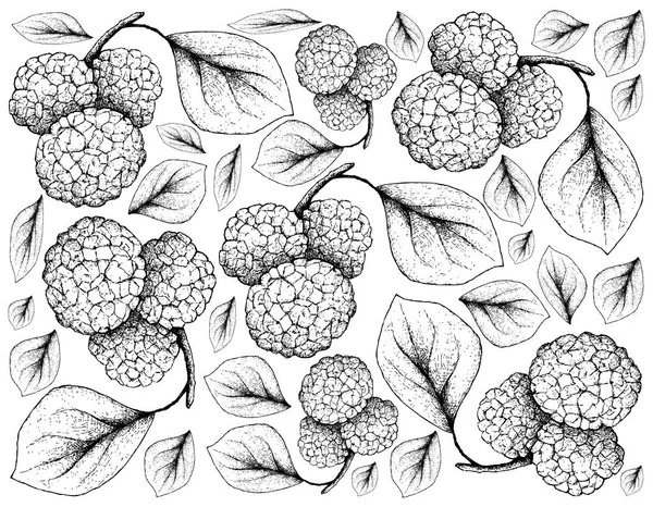 Fruits Tropicaux Illustration Fond Écran Croquis Dessiné Main Mûres Chinoises — Image vectorielle