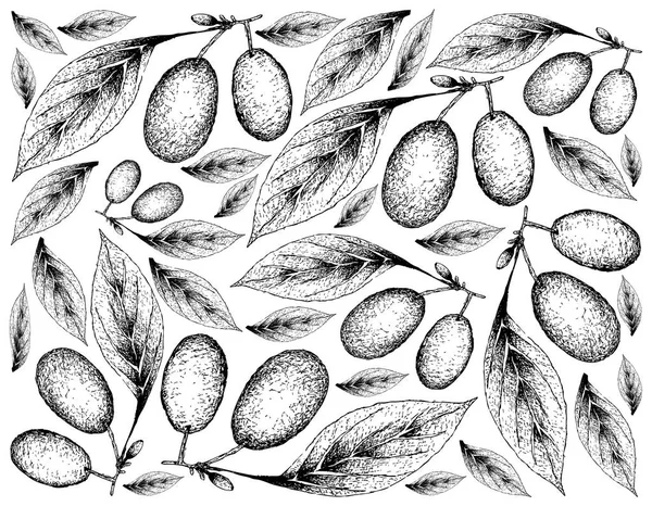 Tropische Früchte Illustrationstapete Von Hand Gezeichnet Skizzieren Frische Kornelkirschen Oder — Stockvektor