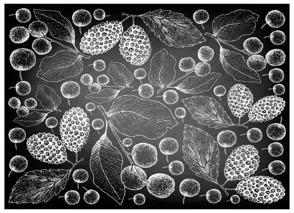 热带水果插图壁纸手绘素描的背景新鲜的甜黑樱桃或李樱桃和黑色桑椹或桑黑的水果在黑色黑板上 — 图库矢量图片