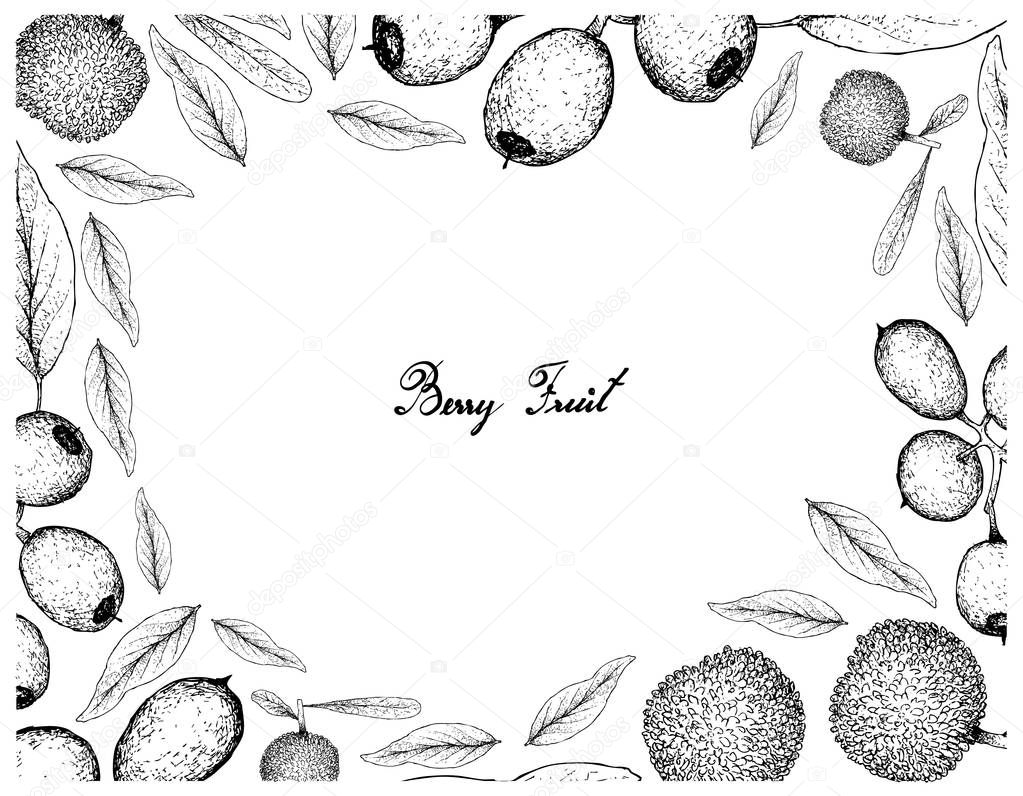 Berry Fruit, Illustration Frame of Hand Drawn Sketch of Fresh Bayberry or Myrica Rubra and Cleistocalyx Operculatus Fruits Isolated on White Background. 
