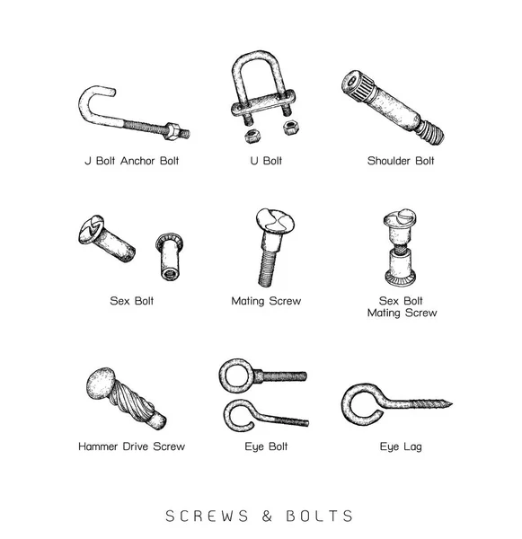 Fabrication Industrie Illustration Esquisse Dessinée Main Série Types Vis Type — Image vectorielle