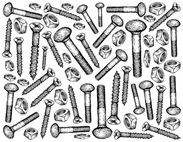 Manufacturing and Industry, Illustration Hand Drawn Sketch Wallpaper Background of Wood Screws, Carriage Bolts and Square Nuts. A Type of Fastener Used to Fasten Materials Together.