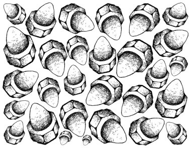 İmalat ve sanayi, El Cap fındık veya meşe palamudu fındık çizilmiş kroki duvar kağıdı arka plan. İle birlikte parçaları tutturmak için cıvata çiftleşme ile birlikte kullanılan vida dişli delik zımba.