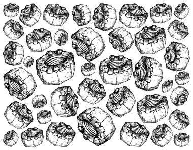 İmalat ve sanayi, illüstrasyon elle çizilmiş kroki oluklu fındık veya Castellated fındık duvar kağıdı arka. Vida dişli delik ile Fastener