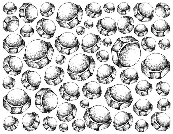 Manufacturing Industry Hand Drawn Sketch Wallpaper Background Cap Nuts Acorn — Stock Photo, Image