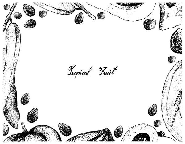 Tropikal meyve, ölü adamın parmakları, Decaisnea, elle çizilmiş kroki çizim çerçevesinde fasulye bitki Canistel, sapot, Eggfruit veya Pouteria Campechiana meyve beyaz zemin üzerine mavi.