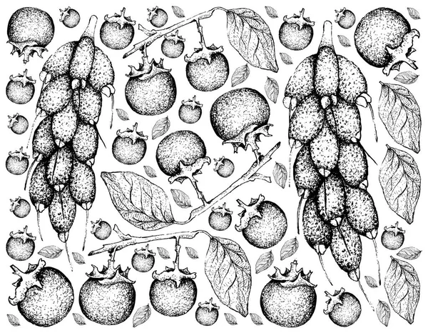 Fruta Tropical Ilustración Fondo Pantalla Fondo Boceto Dibujado Mano Ébano — Vector de stock