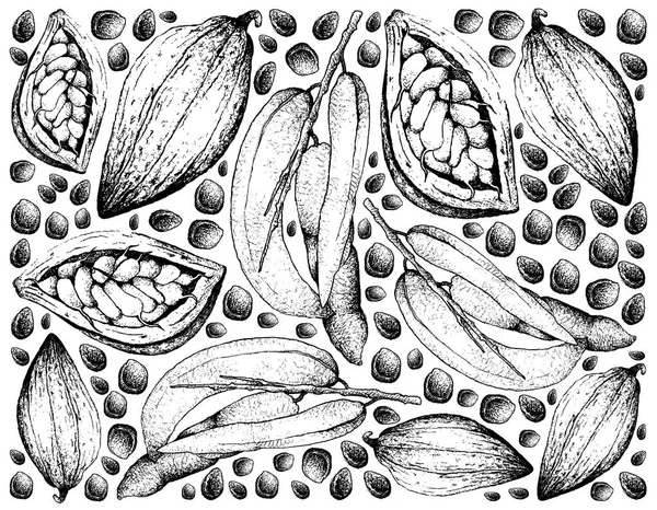Frutas Tropicales Ilustración Fondo Pantalla Fondo Boceto Dibujado Mano Dedos — Vector de stock