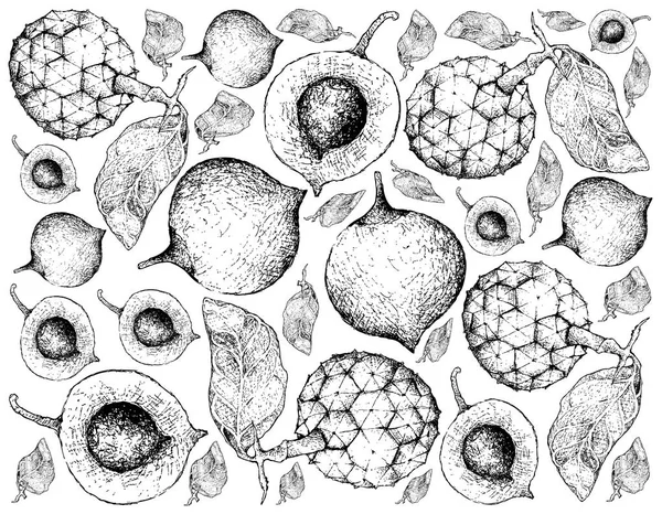 Тропические Фрукты Иллюстрация Обои Фон Ручной Рисунок Свежий Ложный Мангостин — стоковый вектор