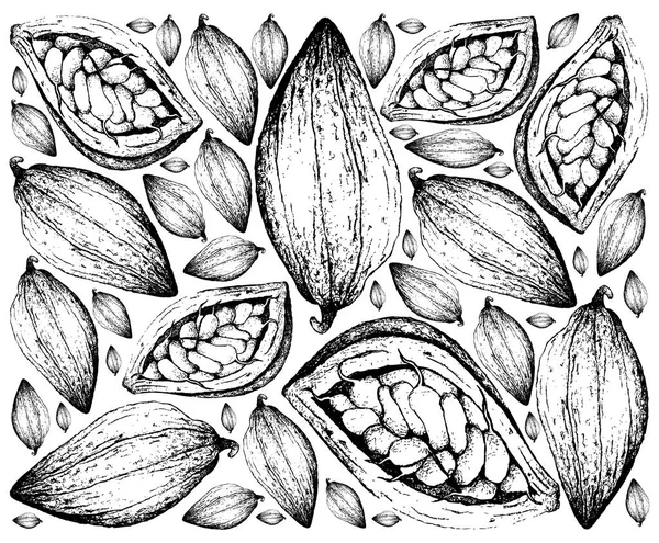 Frutta Tropicale Illustrazione Carta Parati Disegnato Mano Schizzo Theobroma Cacao — Vettoriale Stock