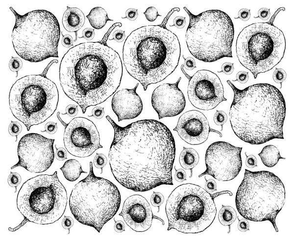 Frutas Tropicais Ilustração Papel Parede Esboço Desenhado Mão Mangostão Fresco —  Vetores de Stock