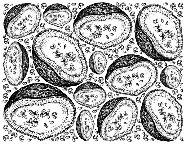 Fruits Tropicaux Illustration Fond Écran Croquis Dessiné Main Feroniella Lucida — Image vectorielle