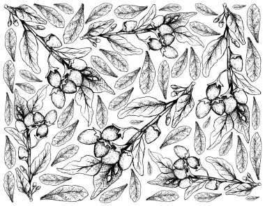 Berry meyve, elle çizilmiş kroki Goji Berry veya Lycium Barbarum meyve illüstrasyon duvar kağıdı arka plan. C vitamini, iyi bir kaynak A, çinko, demir ve antioksidanlar.