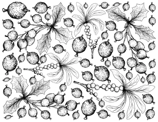 ベリー フルーツ 新鮮な 月ダフネやダフネ Mezereum Barberries メギ尋常性果実の手描きスケッチのイラスト壁紙背景 — ストックベクタ