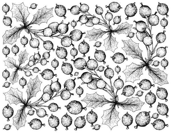 Fruits Aux Baies Illustration Fond Écran Croquis Dessiné Main Épices — Image vectorielle