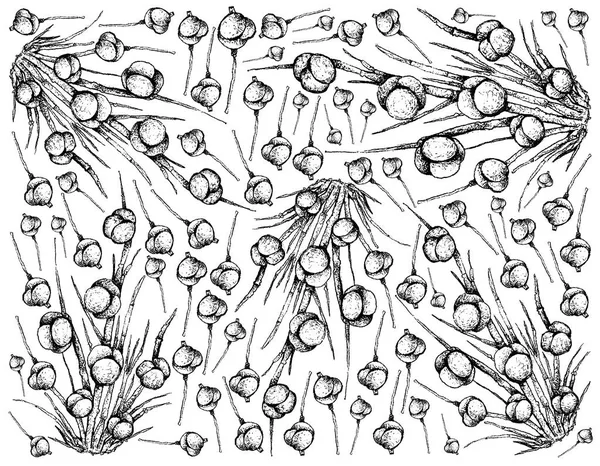 Beerenfrüchte Illustration Tapete Von Hand Gezeichnete Skizze Von Frischen Meerestrauben — Stockvektor