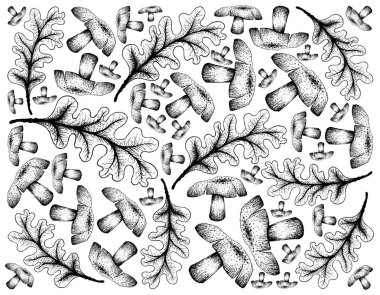 Sonbahar ağacı, meşe yaprağı ve mantar çizilmiş el illüstrasyon duvar kağıdı arka plan. Sonbahar sezonu belirtileri göstermek için sembolik ağaç.