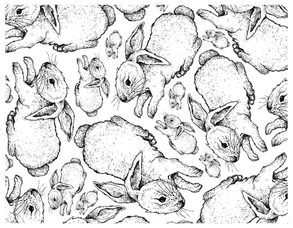 Autunno Animale Illustrazione Sfondo Carta Parati Disegnato Mano Coniglietti Animale — Vettoriale Stock