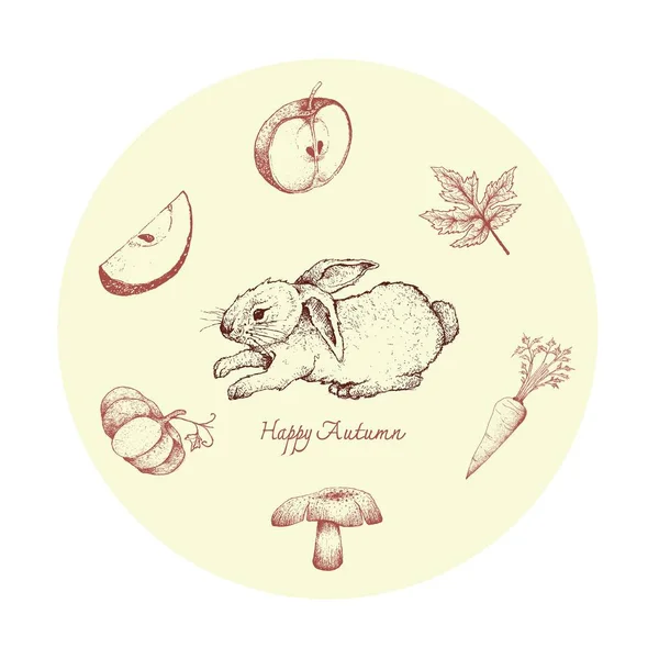 Podzim Zvíře Ilustrace Ručně Kreslenou Bunny Králík Jablky Javorový List — Stockový vektor