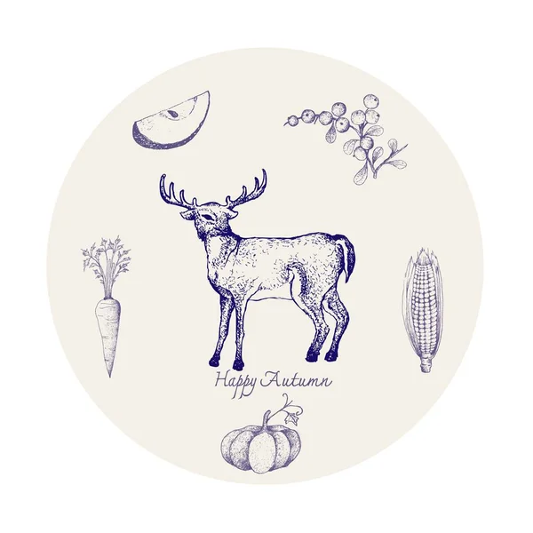 Autumn Animal Illustration Hand Drawn Whitetail Virginia Deer Berries Apple — Stock Vector