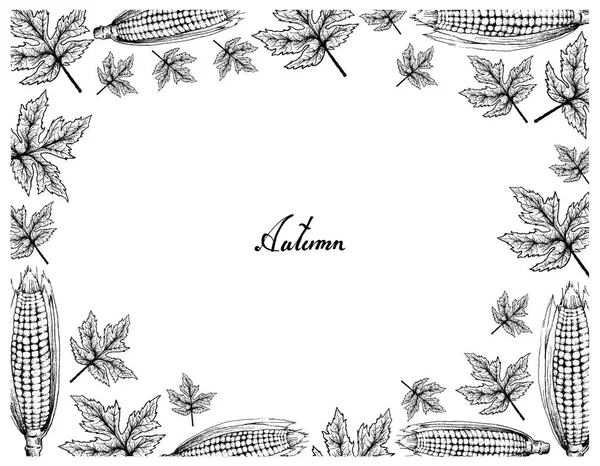秋の木 美しいメープルの手書きのイラストのフレームの葉とトウモロコシ 象徴的な植物と木は 秋のシーズンの兆しを見せ — ストックベクタ