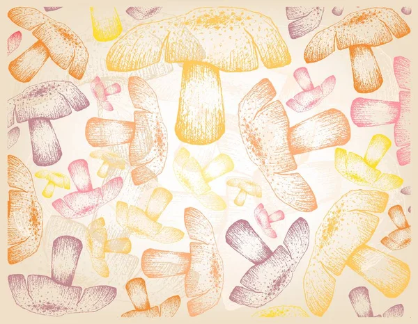 Pianta Autunnale Illustrazione Sfondo Carta Parati Disegnato Mano Bei Funghi — Vettoriale Stock