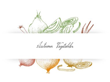 Autumn Vegetables and herbs, Illustration Hand Drawn Sketch of Onions and Spring Onions or Scallions Used for Seasoning in Cooking.  clipart
