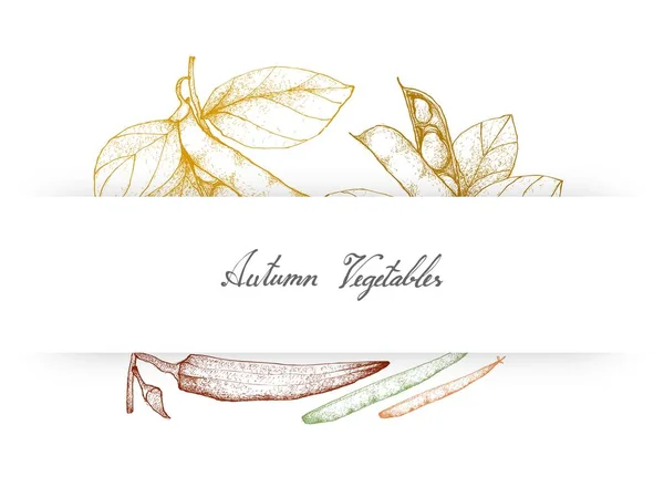 秋野菜 手描きスケッチ新鮮なそら豆やソラマメ 緑豆やインゲンとオクラや女性指果物のイラスト — ストックベクタ