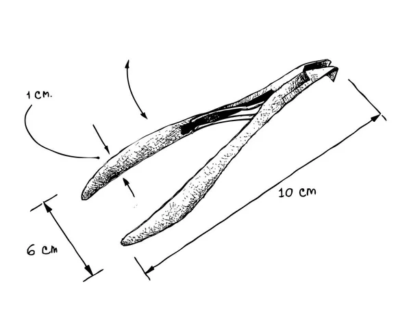 Resimde Elle Çizilmiş Kroki Boyut Tırnak Makası Veya Beyaz Arka — Stok Vektör