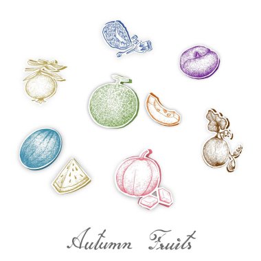 Sonbahar meyveler, ayarla el çizilmiş kroki, çeşit çeşit meyve sonbaharda hasat. Trendy Origami derin kağıt sanat stil oyma.